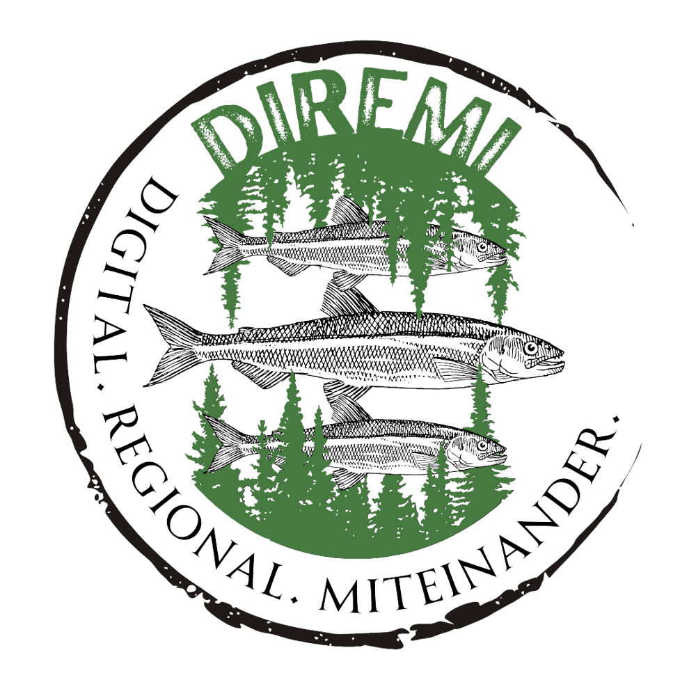 Logo Regionalportal DiReMi www.99880.info